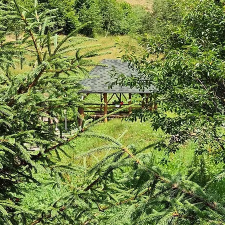 приватна потічок